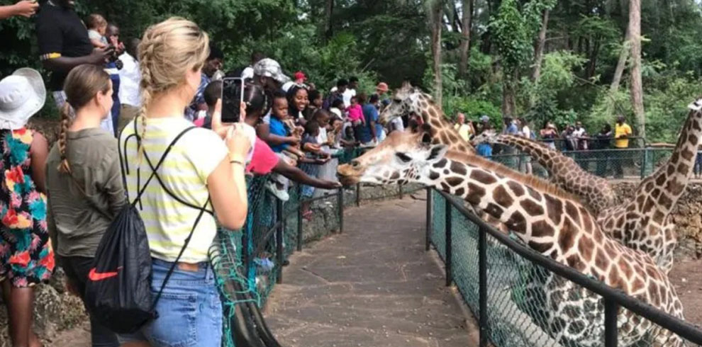 haller park mombasa
