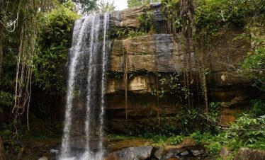 shimba hills excursion
